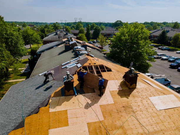 Best Gutter Installation and Roofing  in Carleton, MI