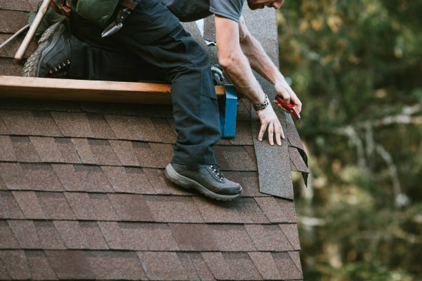 Roof Gutter Cleaning in Carleton, MI